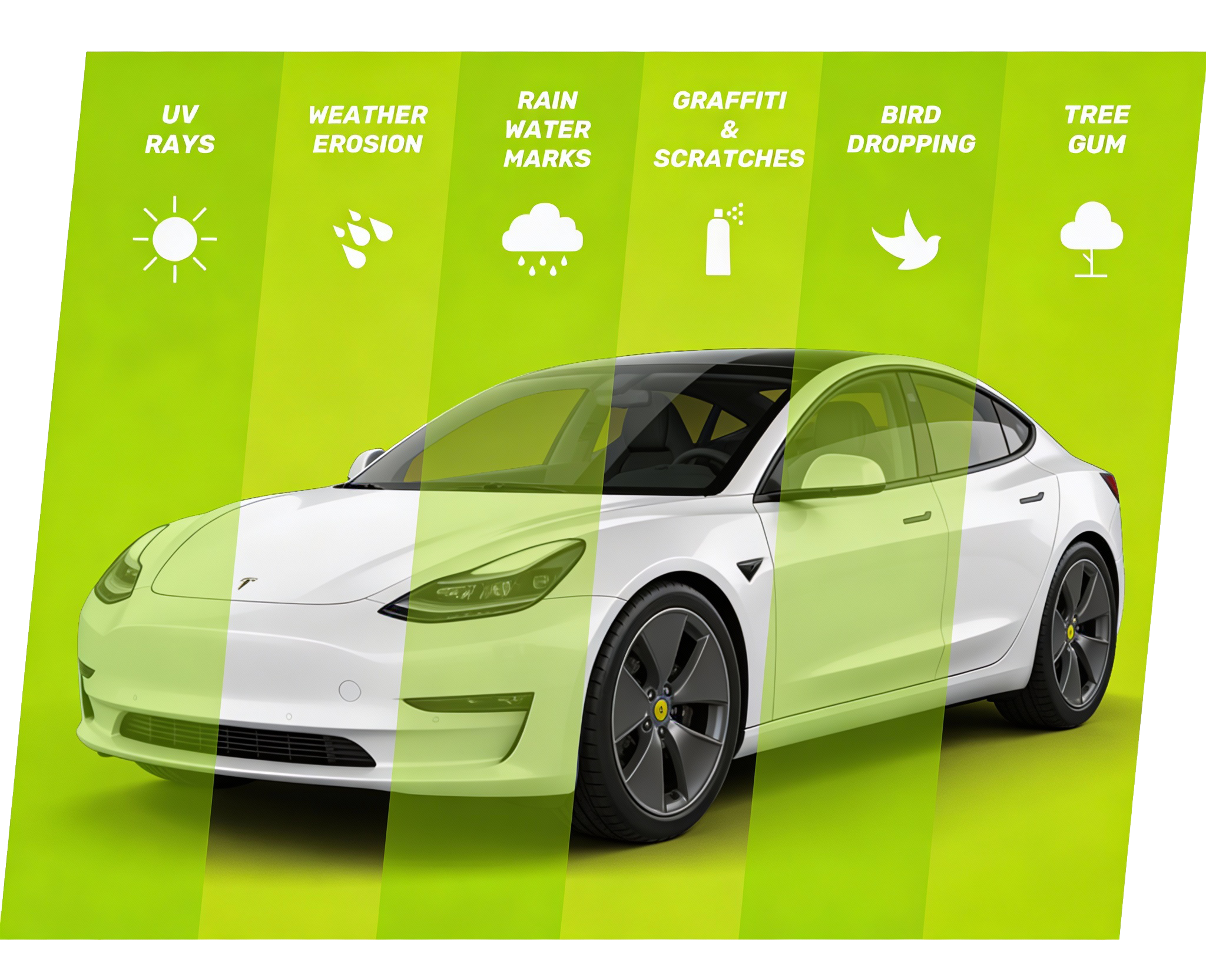 Car protection illustration